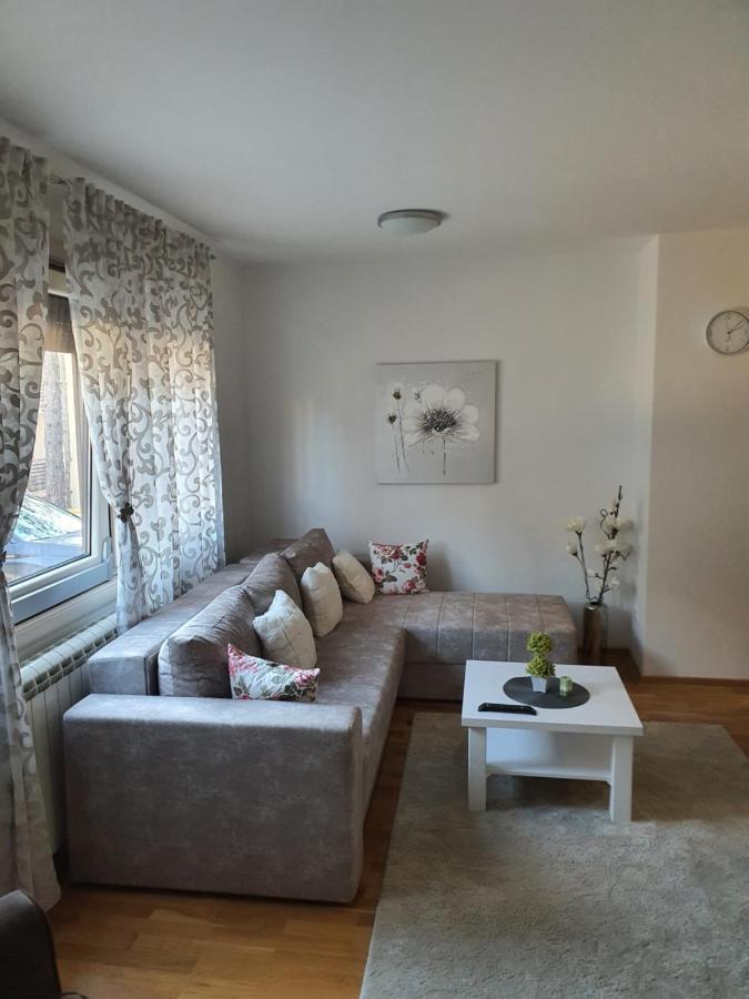 Goldpine Apartments زلاتيبور المظهر الخارجي الصورة